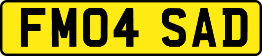 FM04SAD