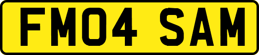 FM04SAM