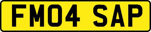 FM04SAP