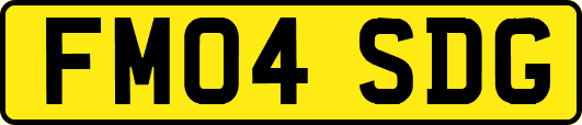 FM04SDG