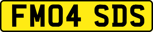 FM04SDS