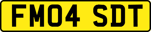 FM04SDT
