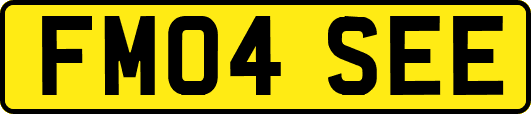 FM04SEE