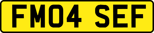 FM04SEF