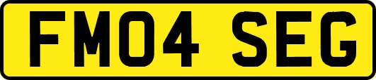 FM04SEG