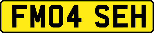FM04SEH