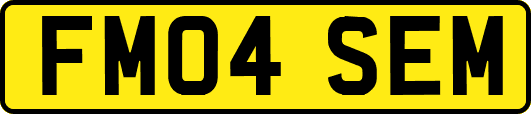 FM04SEM
