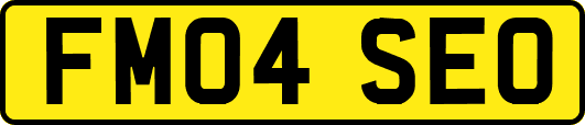 FM04SEO
