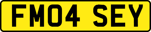 FM04SEY