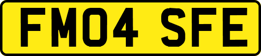 FM04SFE