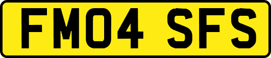 FM04SFS
