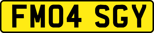 FM04SGY