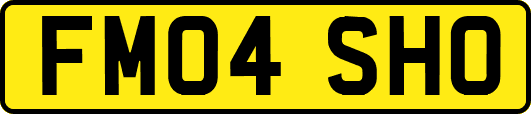 FM04SHO