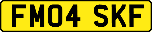 FM04SKF