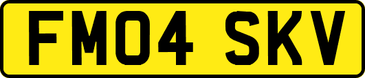FM04SKV