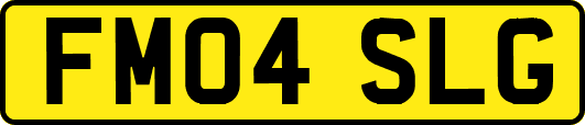 FM04SLG