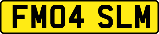 FM04SLM