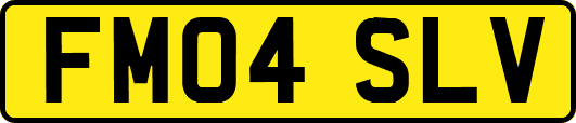 FM04SLV