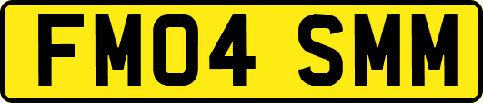 FM04SMM
