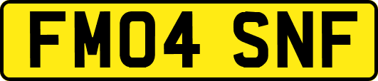 FM04SNF