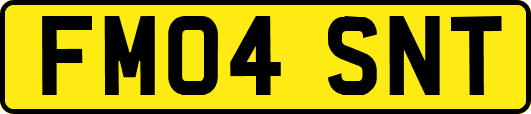 FM04SNT