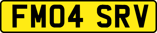 FM04SRV