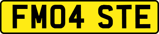 FM04STE