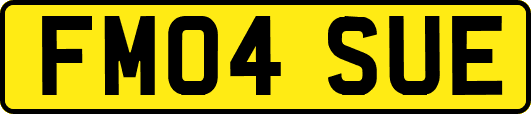 FM04SUE