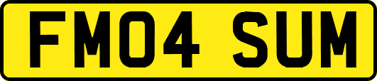FM04SUM
