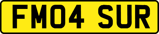 FM04SUR