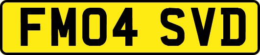 FM04SVD