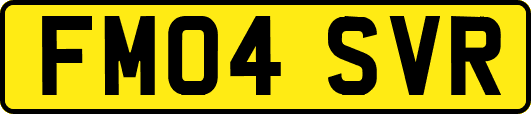 FM04SVR