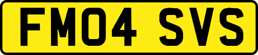 FM04SVS
