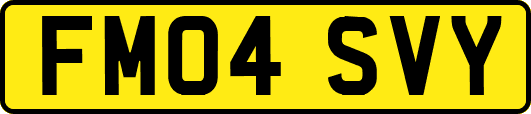 FM04SVY