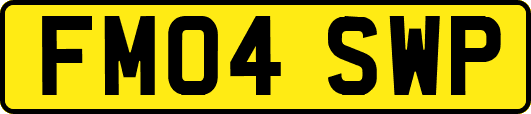 FM04SWP