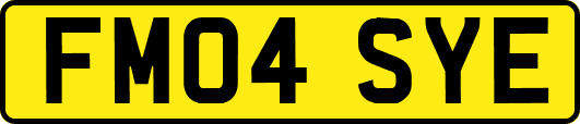 FM04SYE