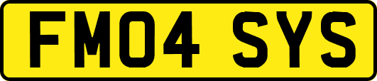 FM04SYS