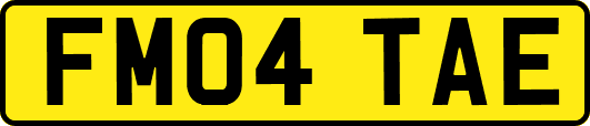 FM04TAE