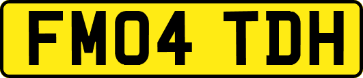 FM04TDH