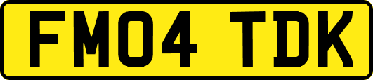 FM04TDK
