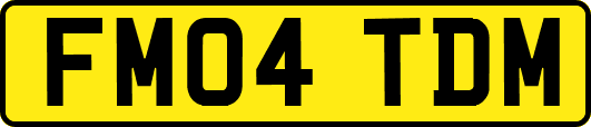 FM04TDM