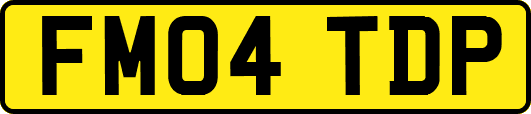 FM04TDP