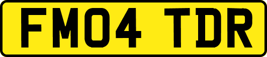 FM04TDR