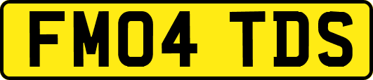 FM04TDS