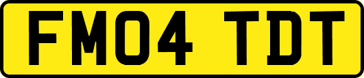 FM04TDT