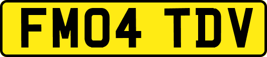 FM04TDV