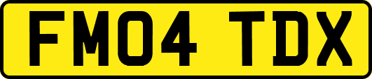 FM04TDX