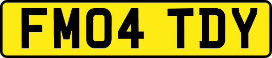 FM04TDY