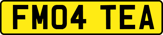 FM04TEA