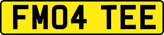 FM04TEE